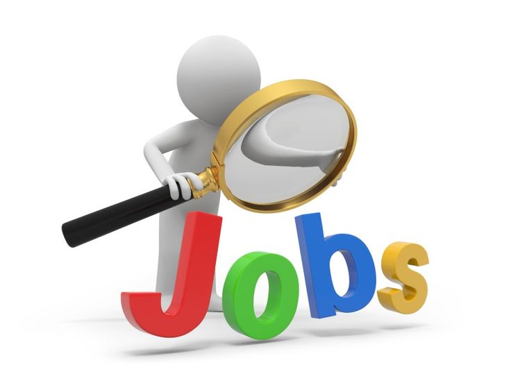 Job Opportunities in India 