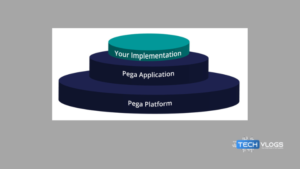 Pega organization structure